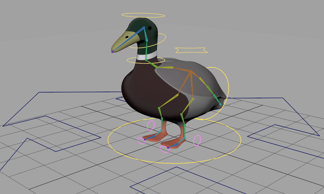 duck1